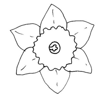 Нарцисс трафарет для вырезания