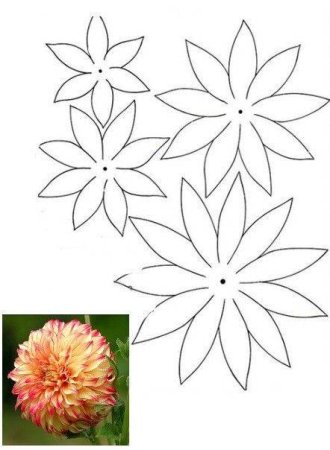 Шаблоны цветка георгина