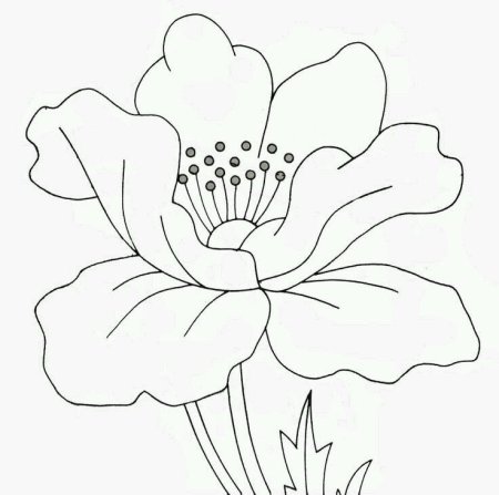 Трафареты цветов для рисования на ткани