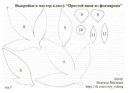 Лист пиона шаблон
