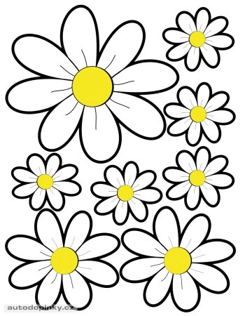 Трафарет ромашки
