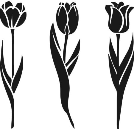 Трафарет цветов тюльпана (49 фото)