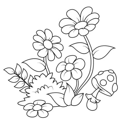 Космея раскраска