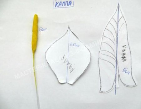 Трафарет цветка каллы