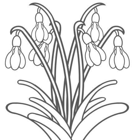 Цветы. Раскраска