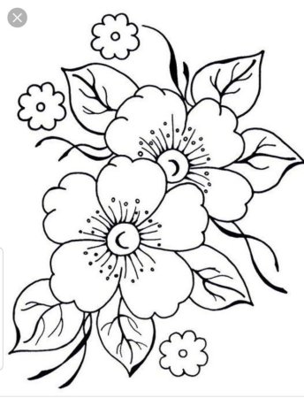 Контуры для рисования цветы