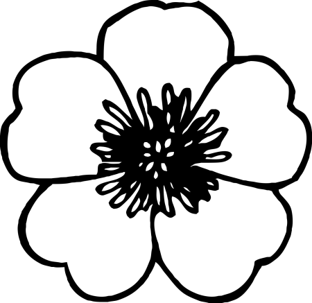 Цветы трафаретки