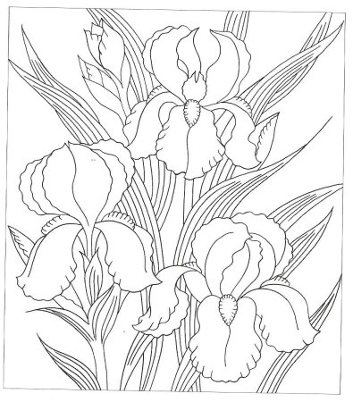 Люневильская вышивка ирисы