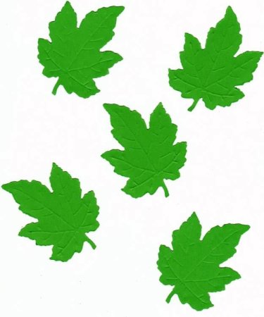Листики для аппликации