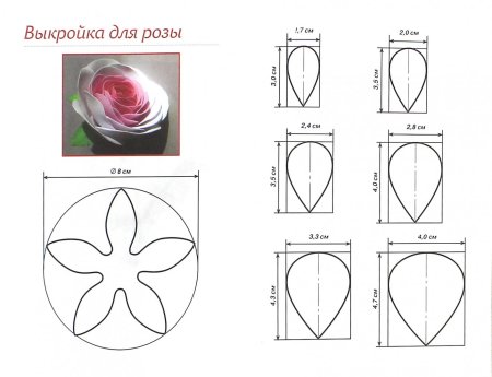Роза из фоамирана выкройка лепестков
