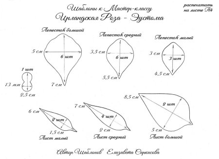 Шаблоны эустомы из фоамирана