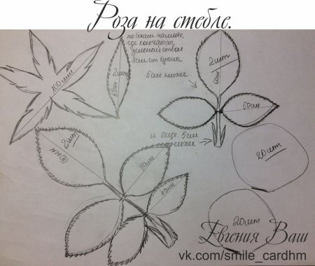 Чашелистик розы выкройка