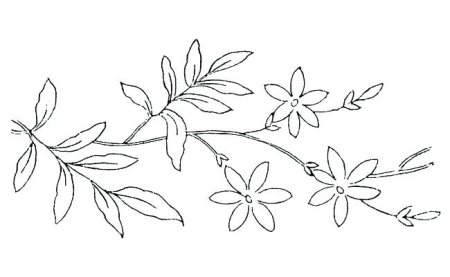 Ветка с цветами трафарет