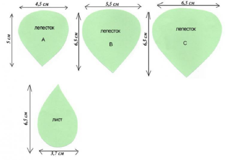 Шаблон лепестка розы из фоамирана