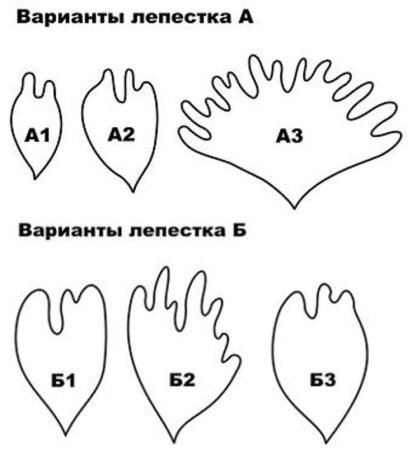 Выкройка лепестков пиона