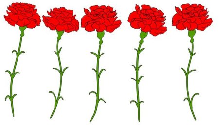 Цветы гвоздики для вырезания