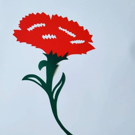 Гвоздики на окна