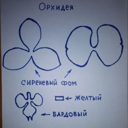 Трафарет орхидеи из фоамирана