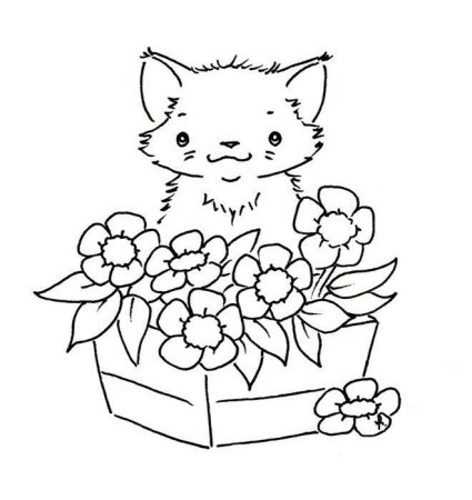 Раскраска кошка с цветами