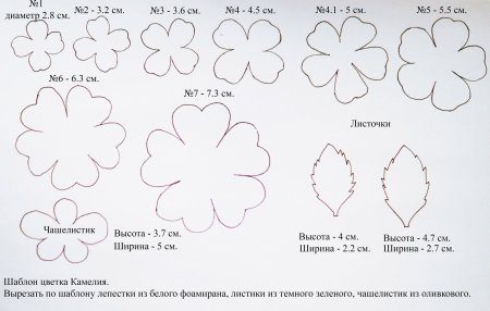 Выкройка цветов из ткани в натуральную величину