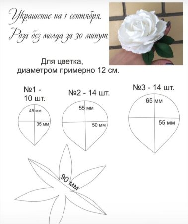 Роза из фоамирана выкройка лепестков