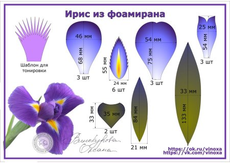 Ирис из фоамирана мастер класс и выкройка