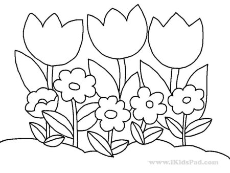 Цветочная Поляна раскраска для детей