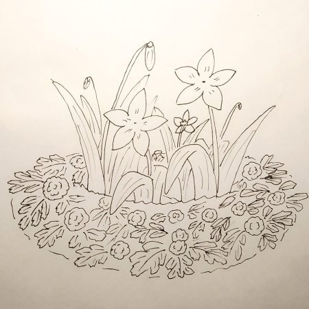 Клумба рисунок