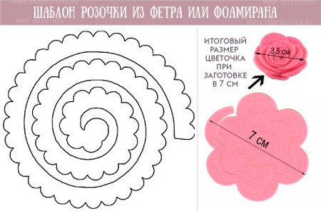 Шаблон цветов гортензии