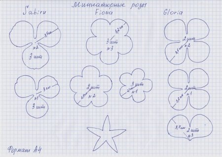 Шаблоны цветов для фоамирана