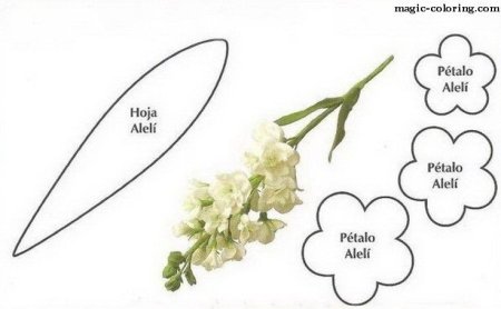Цветы из фоамирана выкройки