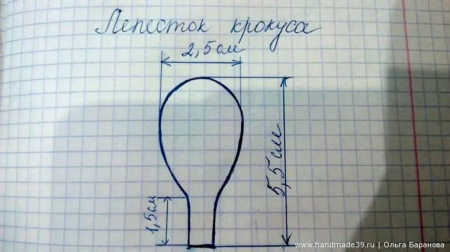 Крокусы из фоамирана шаблоны