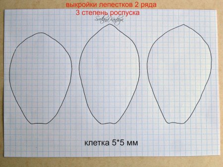 Трафарет лепестка тюльпана