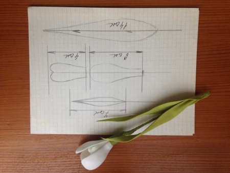 Шаблоны подснежника для фоамирана