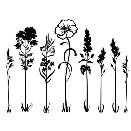 Силуэты полевых цветов