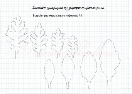 Выкройки листьев цветов