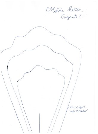 Лепесток трафарет