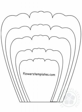 Трафареты лепестков цветов