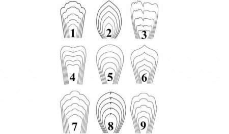 Трафареты для больших бумажных цветов