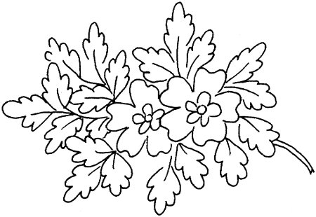 Растительный орнамент раскраска для детей