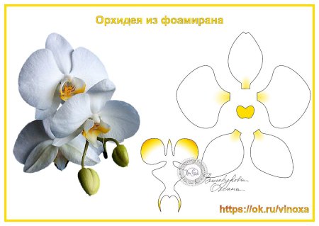Выкройка орхидеи из фоамирана