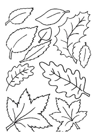 Осенние листочки раскраска