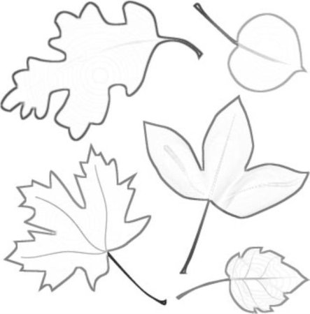 Шаблон осенних листьев малышам