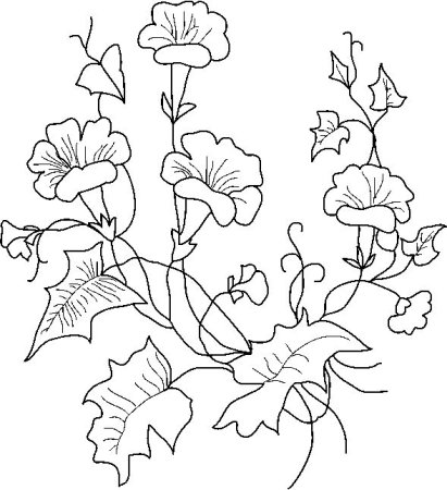 Схемы рисунков цветов
