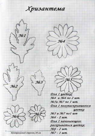 Хризантема из Фома шаблоны