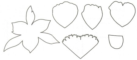 Чашелистик и листья пиона из фоамирана