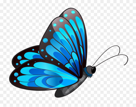 Бабочка Morpho Amathonte