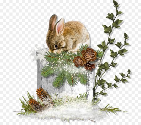 Новогодние зверюшки без фона
