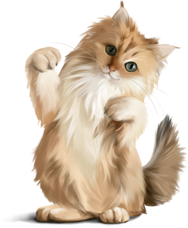 Кот клипарт