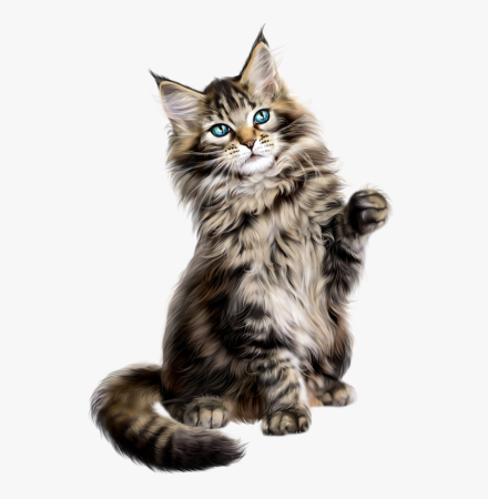 Мейнкун кот